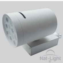 SPOT LIGTH R1-12W