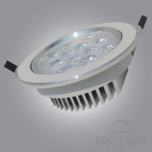 DOWNLIGHT P-12