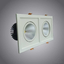 DOWNLIGHT COB Z-2HEAD-10