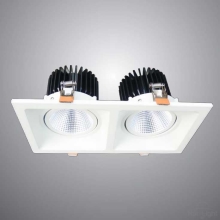 DOWNLIGHT COB Z1-2HEAD-10