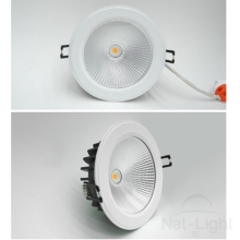 DOWNLIGHT COB MODEL N 5W