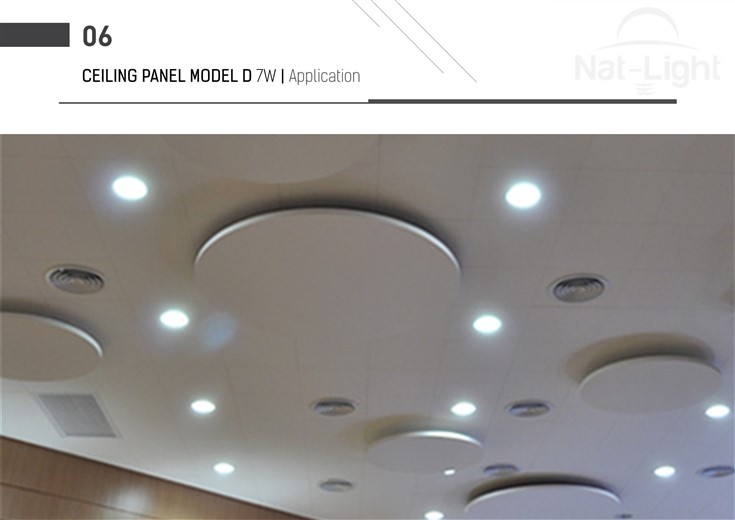 Ceiling-Panel-Model-D-7w