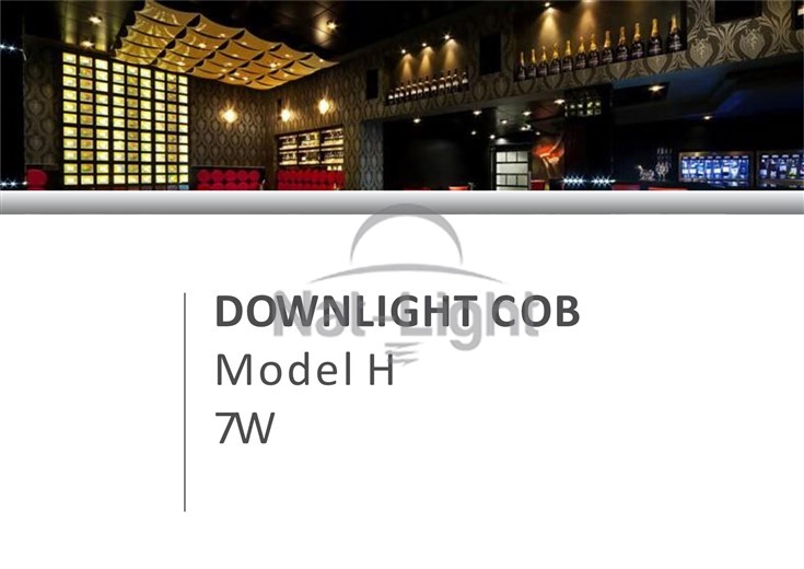 Downlight-Cob-Model-H-7w
