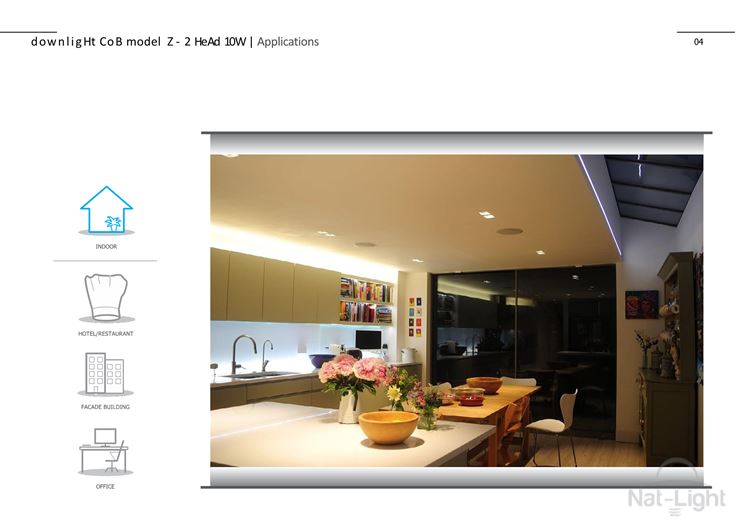 Downlight-Cob-Model-Z-2-Head-10w-1