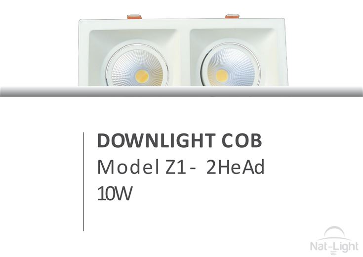 Downlight-Cob-Model-Z1-2head-10w