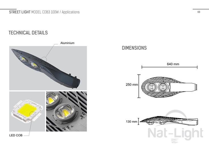 Street-Light-Model-Cob3-100w