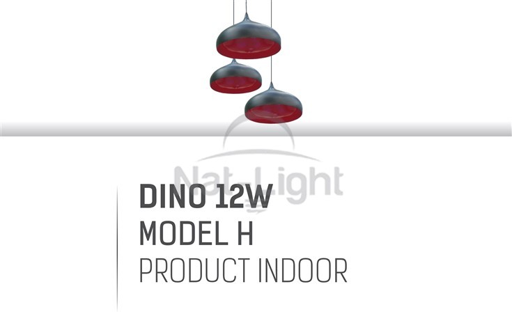 DINO-MODEL-H-12W-3