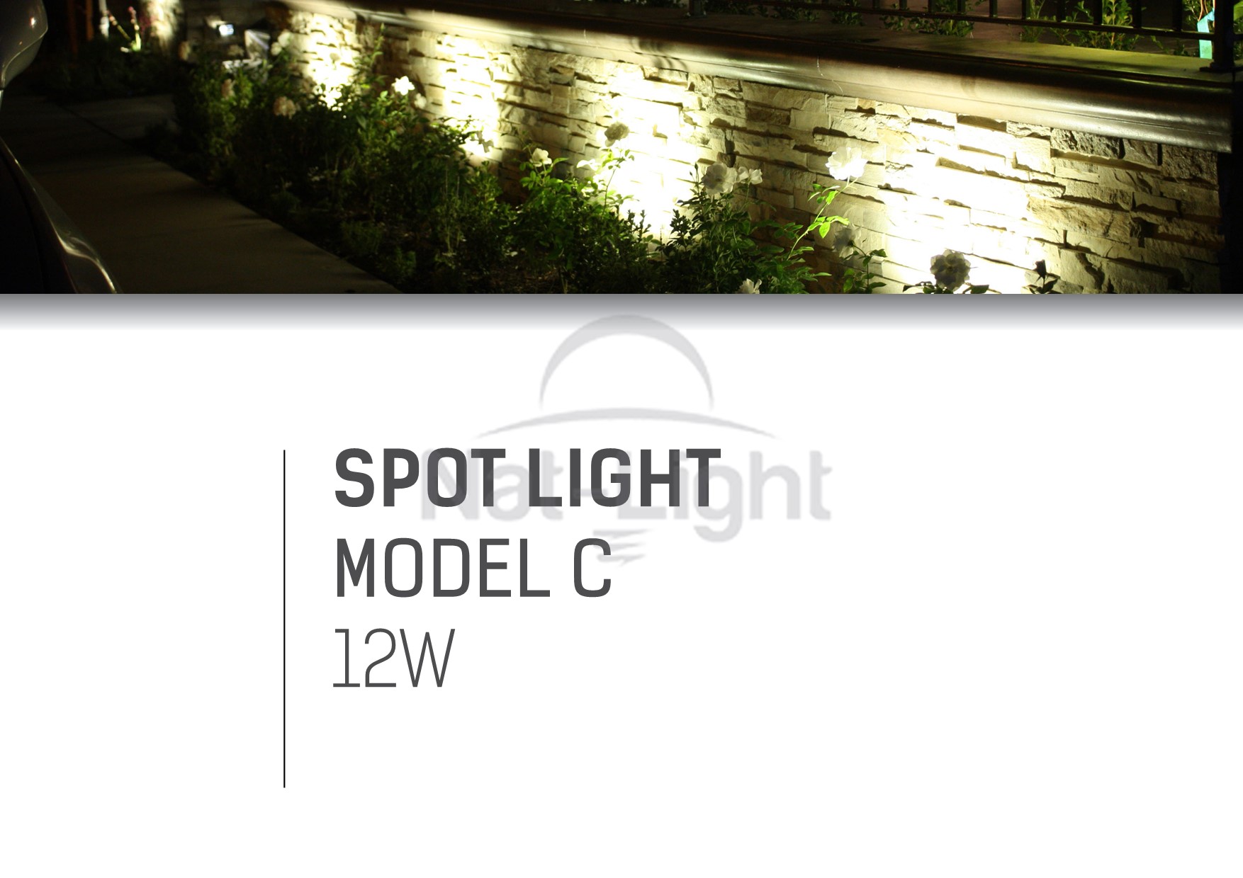SPOT-LIGHT-MODEL-C-12W-01