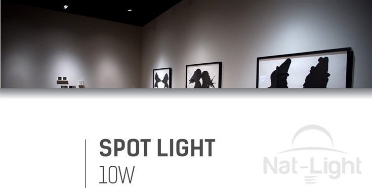 Elek-Spot-Light-10w