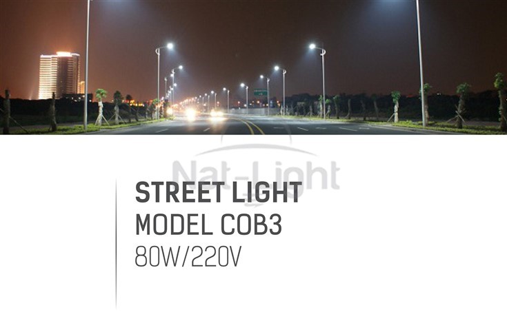 STREET-LIGHT-MODEL-COB3-80W-1