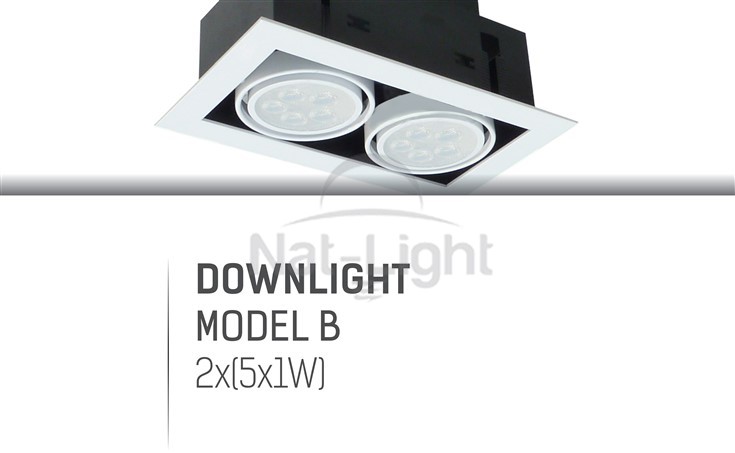 DOWLIGHT-MODEL-B-5W-2HEADS-4