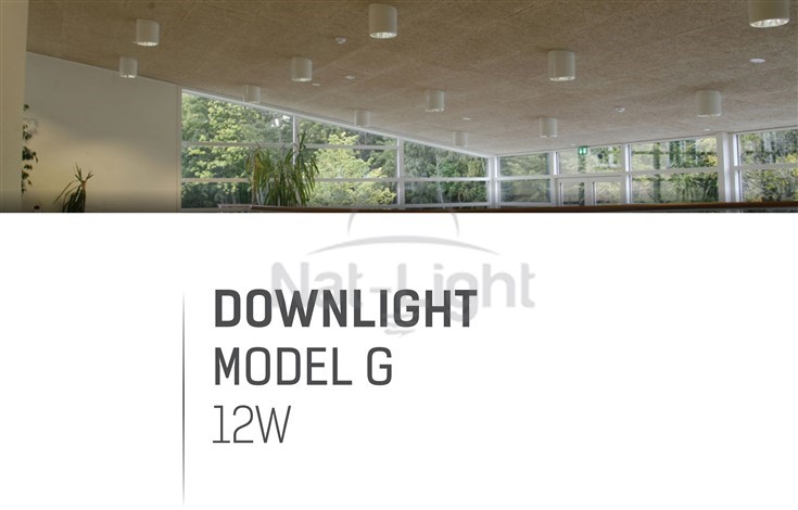 DOWNLIGHT-MODEL-G-12W-1