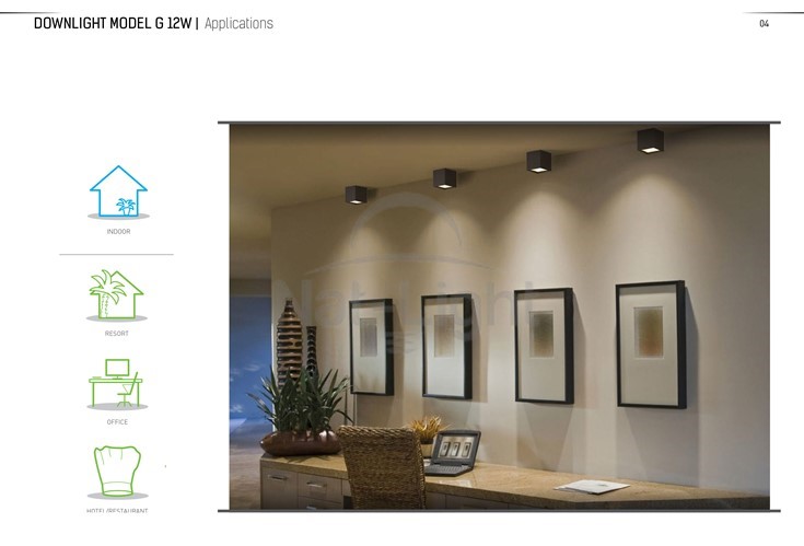 DOWNLIGHT-MODEL-G-12W-4