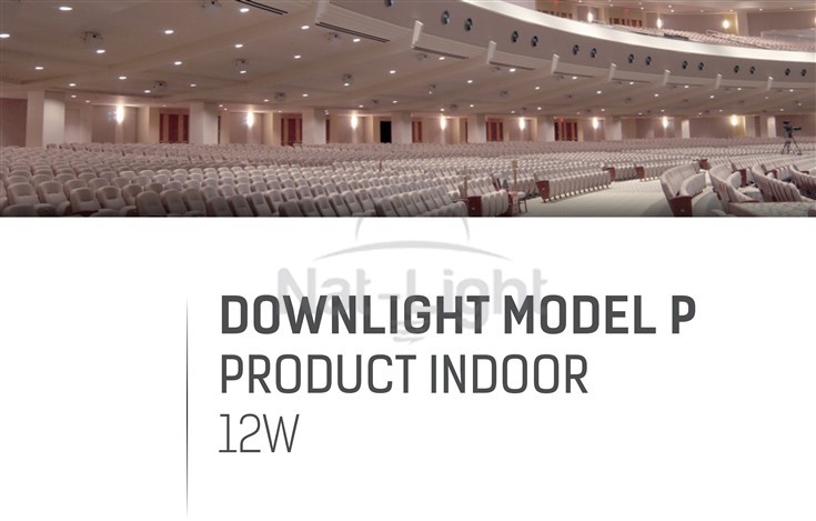 DOWNLIGHT-MODEL-P-12W-1