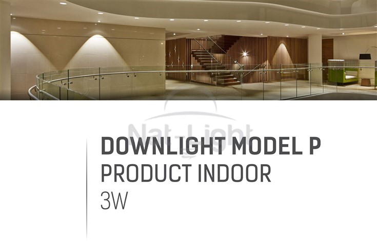 DOWNLIGHT-MODEL-P-3W-1